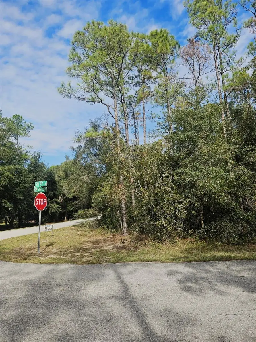Southwest 206th Court Rd, Dunnellon, FL 34431 - Image #2