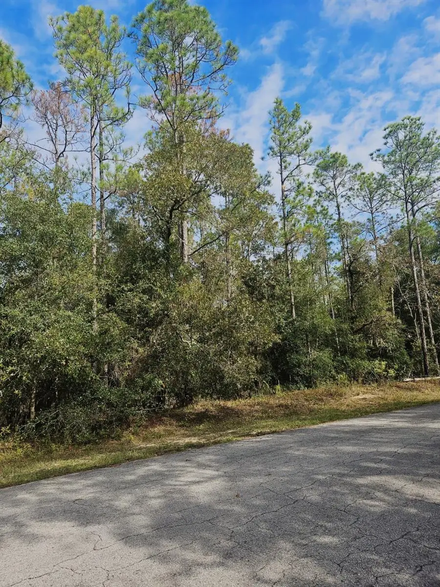Southwest 206th Court Rd, Dunnellon, FL 34431 - Image #3