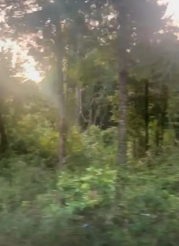 Nw 20th St, OCALA, FL 34482