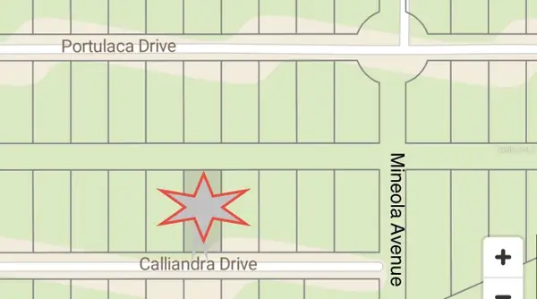 510 Calliandra Drive, INDIAN LAKE ESTATES, FL 33855