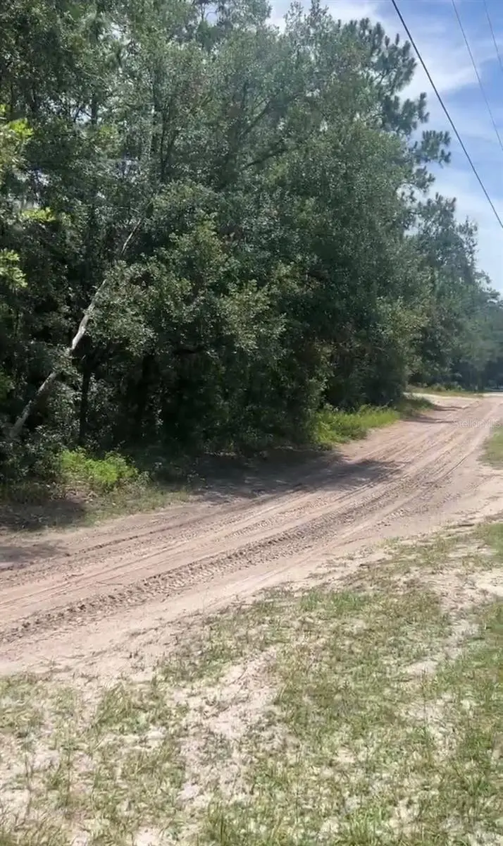 Sw 156th Place, Dunnellon, FL 34432 - #2