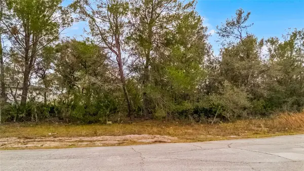 614 Alafia Place, KISSIMMEE, FL 34759