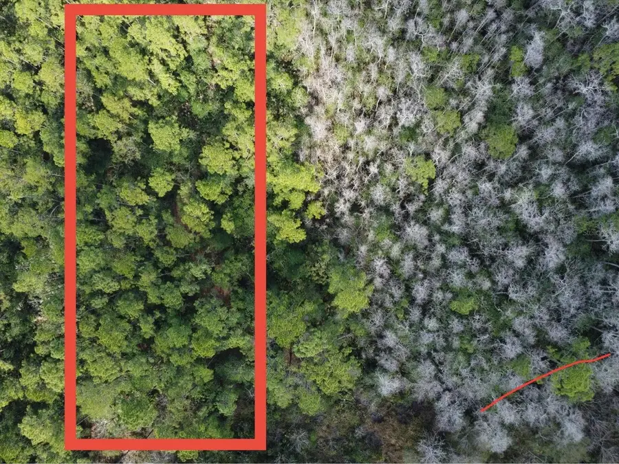 20507 E Colonial Drive, Christmas, FL 32709 - Image #2