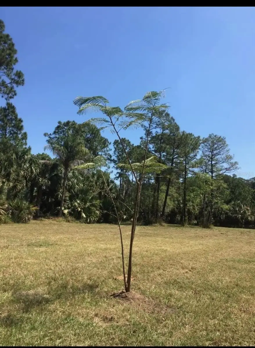 2370 Thacker Trail, Kissimmee, FL 34747 - #1