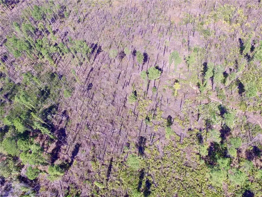 Lot 451 S Sr-535, Orlando, FL 32821 - Image #3