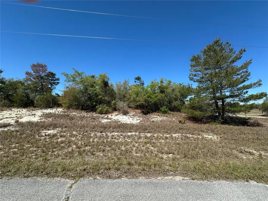 1386 Homosassa Drive, Poinciana, FL 34759 - #3