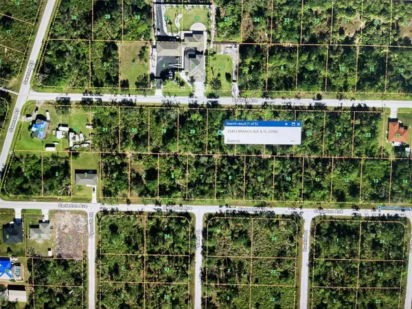 23419 Branch Avenue, PORT CHARLOTTE, FL 33980
