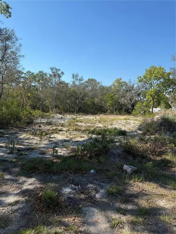 449 Naples Court, KISSIMMEE, FL 34759