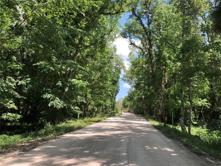 Keefer Trail, Kissimmee, FL 34747 - Image #2