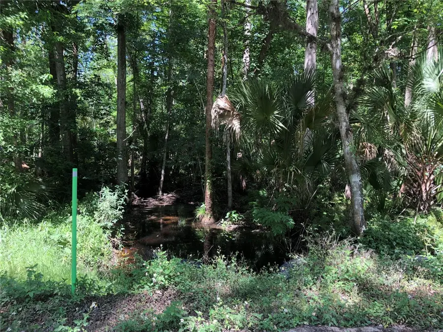 Keefer Trail, Kissimmee, FL 34747 - Image #3