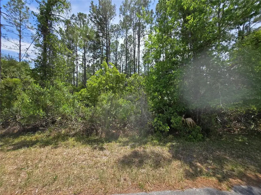 00 W Bluebell Avenue, Eustis, FL 32736 - Image #3