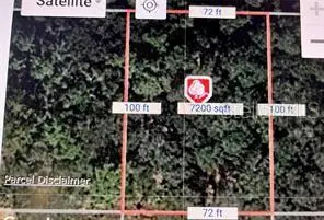 204 Starling Court, Poinciana, FL 34759 - Image #2