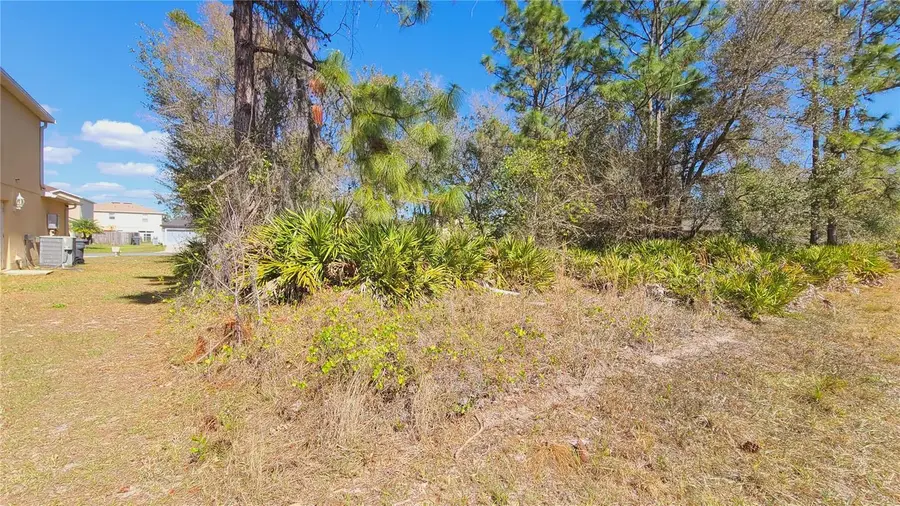 714 Martin Lane, Poinciana, FL 34759 - #3