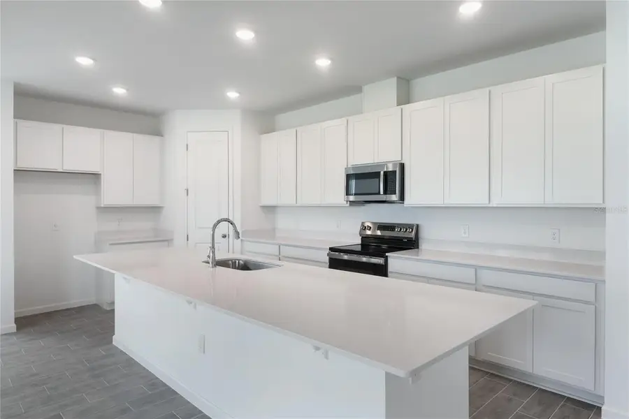 232 Flag Lilly Lane, Umatilla, FL 32784 - Image #3