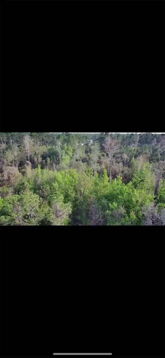 4150 Quail Nest Lane, New Smyrna Beach, FL 32168 - #3