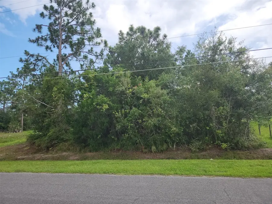 Ralston Street, Orlando, FL 32833 - Image #3