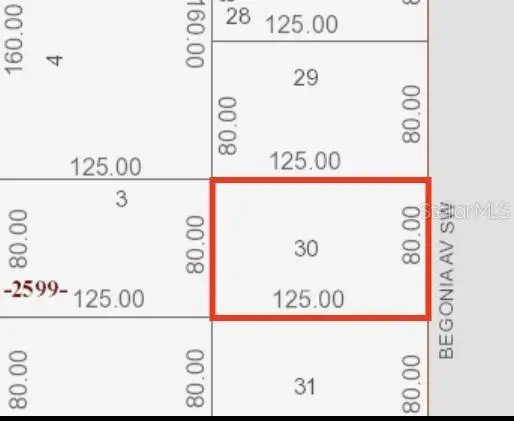 2184 Begonia Avenue Sw, Palm Bay, FL 32908 - #2