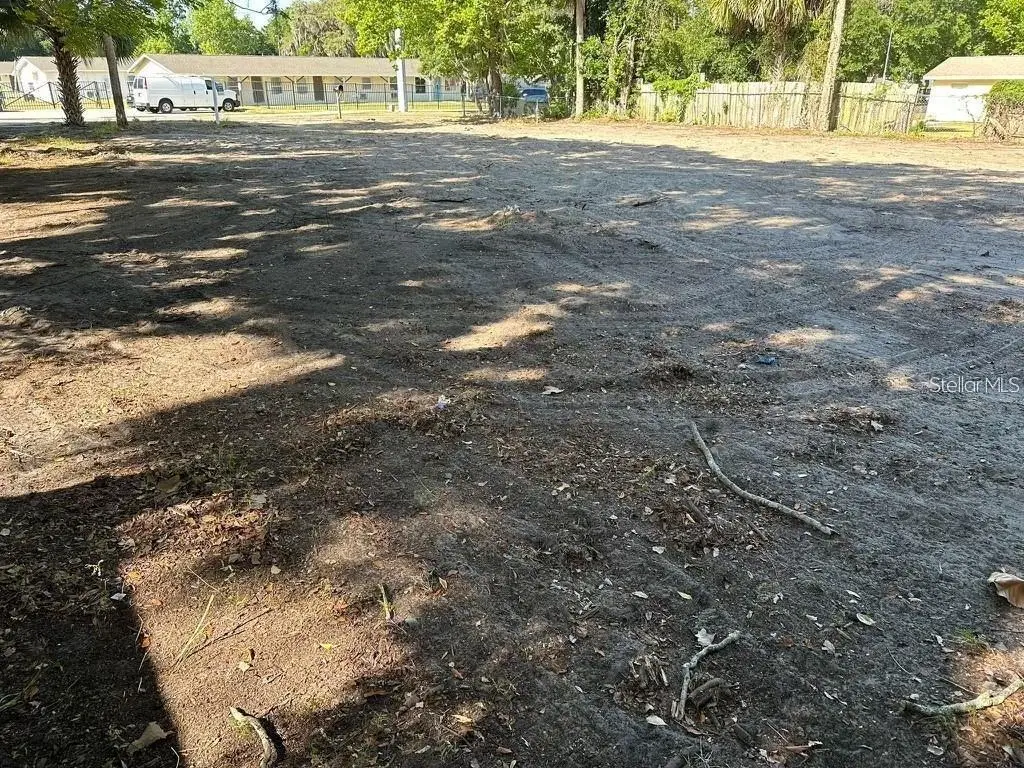 513 Lincoln Avenue, Mount Dora, FL 32757 - Image #1