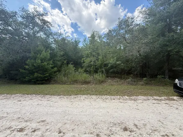 TBD 98th Street, DUNNELLON, FL 34432