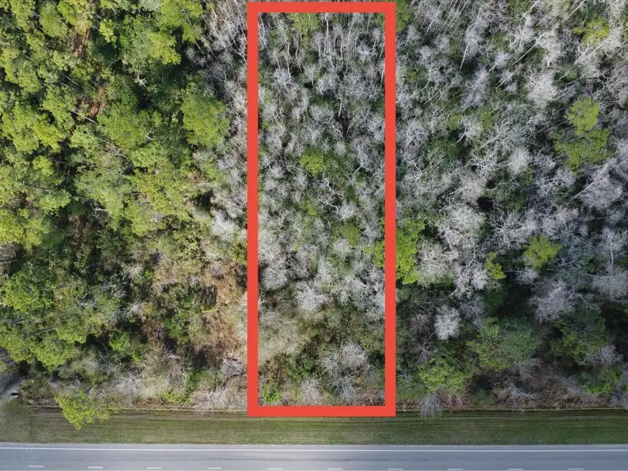 20523 E Colonial Drive, Christmas, FL 32709 - Image #2