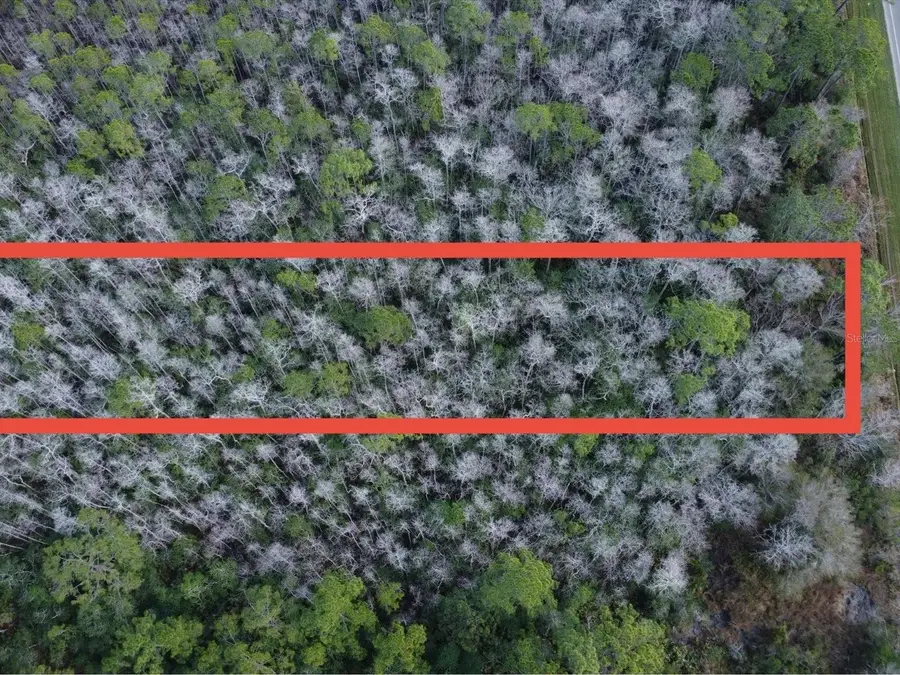 20523 E Colonial Drive, Christmas, FL 32709 - Image #3