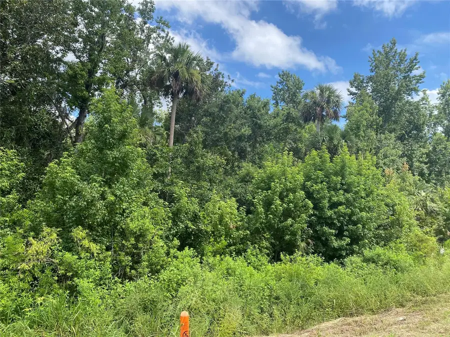 Cypress Parkway, Davenport, FL 33837 - Image #3