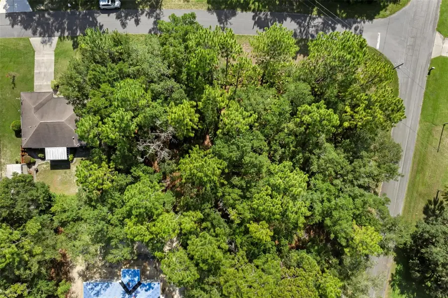 6733 N Nantucket Way, Pine Ridge, FL 34434 - Image #2