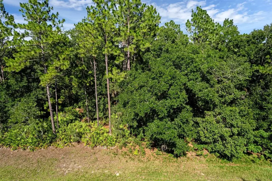 6733 N Nantucket Way, Pine Ridge, FL 34434 - Image #3