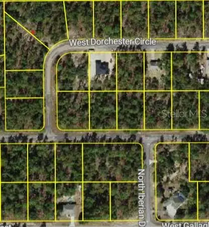 4150 W Dorchester Circle, Dunnellon, FL 34433 - #1