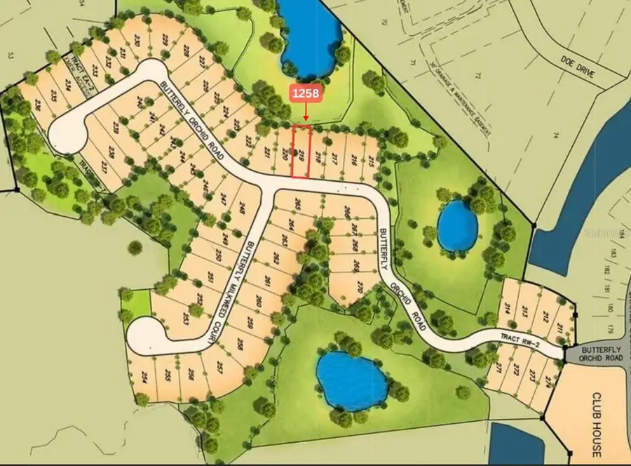 1258 Butterfly Orchid Road, Davenport, FL 33837 - Image #3