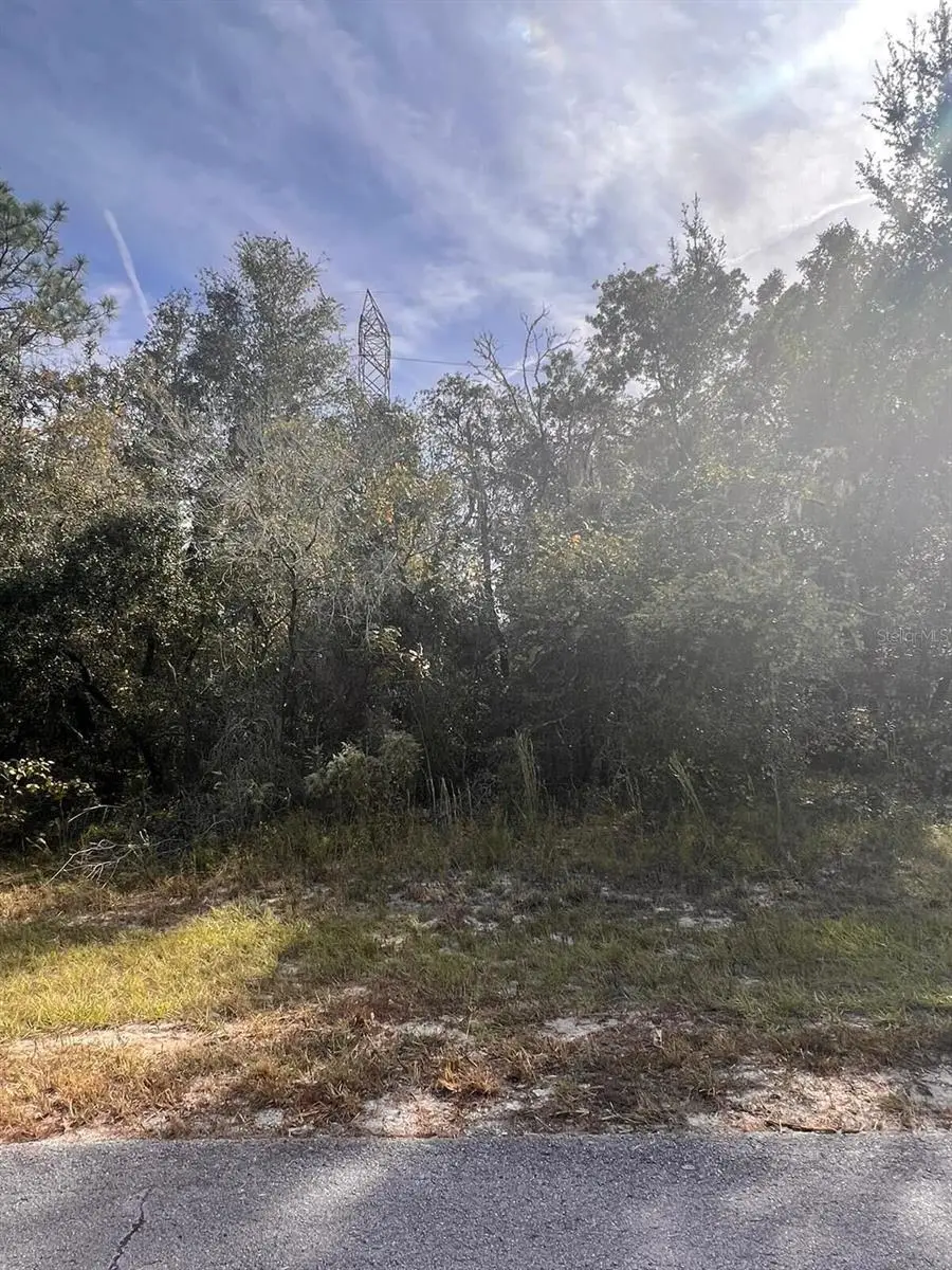 2430 Sw 168 Loop Loop, Ocala, FL 34473 - #3