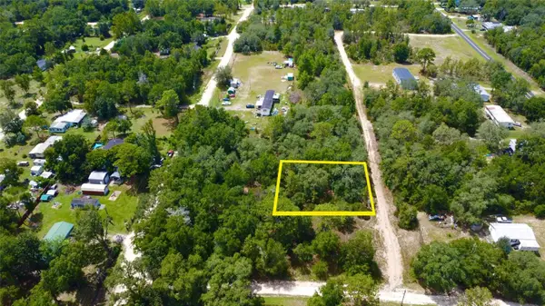 LOT 30 138 Court, WILLISTON, FL 32696