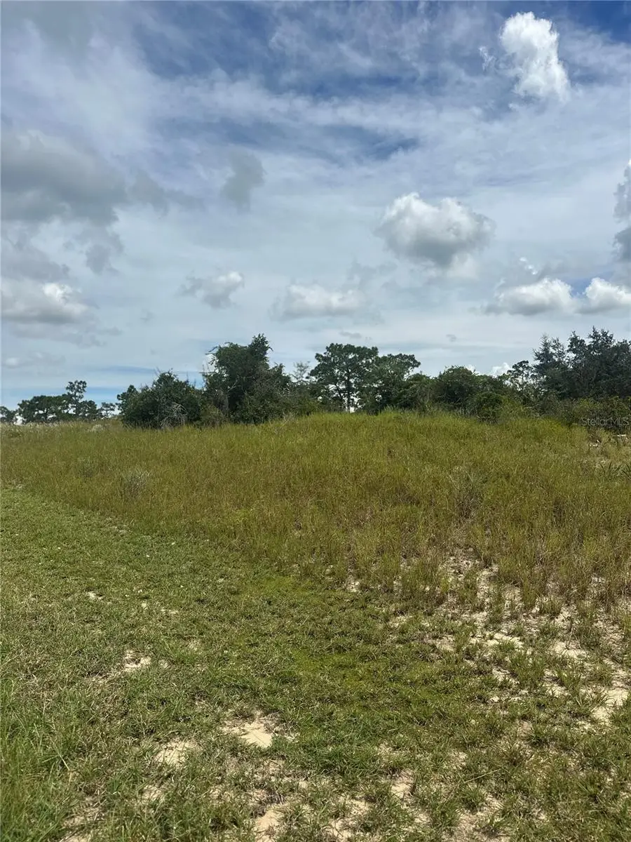 1348 Homosassa Court, Poinciana, FL 34759 - #1