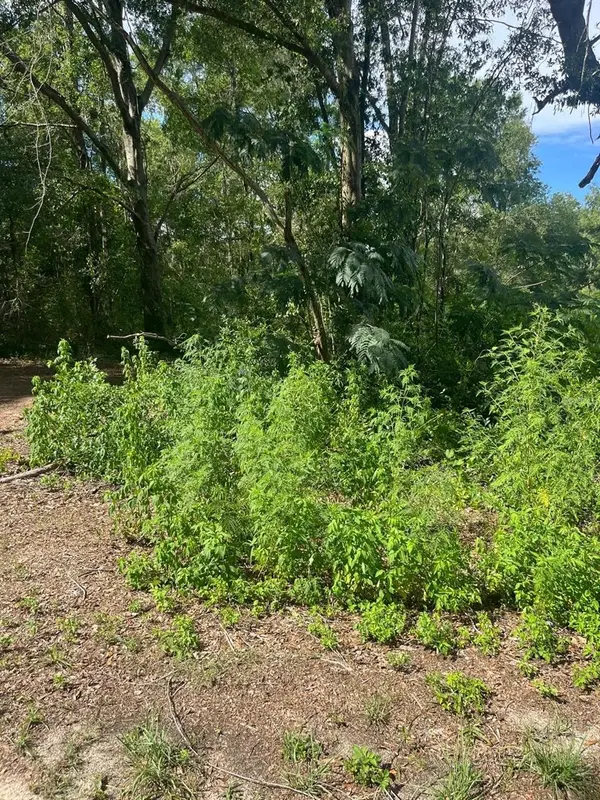 5325 NW 7th Street, OCALA, FL 34482