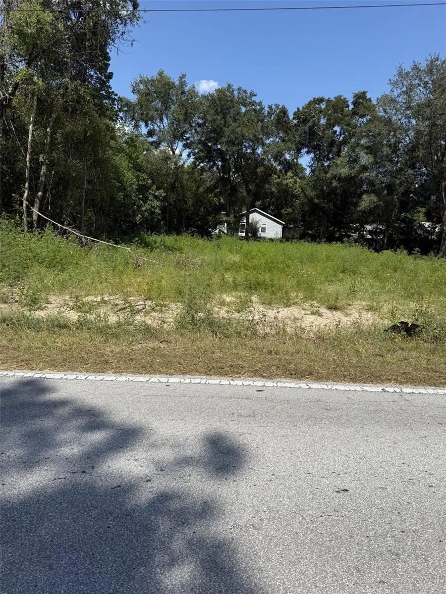 SW Marine Boulevard, Dunnellon, FL 34431 - Image #1