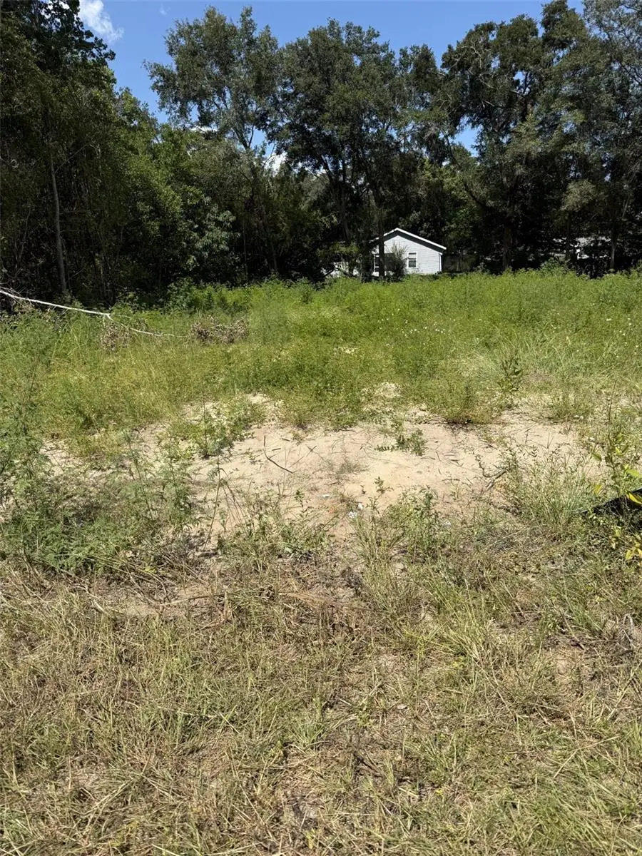 SW Marine Boulevard, Dunnellon, FL 34431 - Image #2