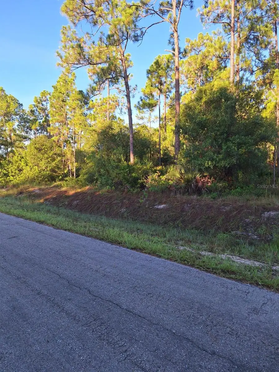 1215 Willard Avenue, Lehigh Acres, FL 33972 - Image #3