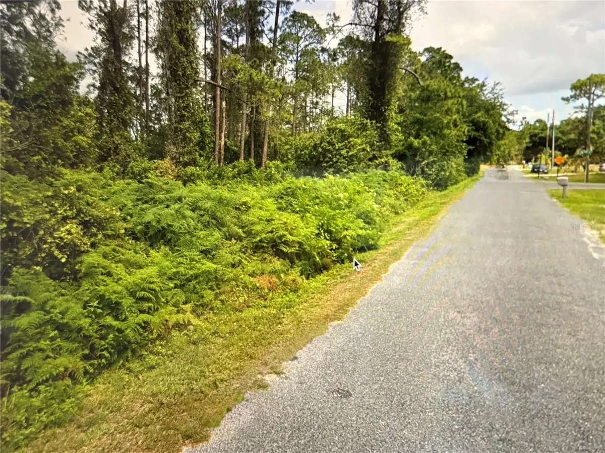 Fig Leaf Street, Saint Cloud, FL 34769 - #1