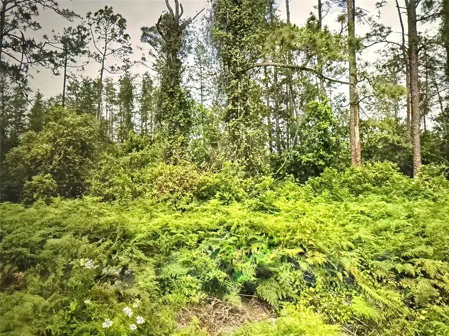 Fig Leaf Street, Saint Cloud, FL 34769 - #3