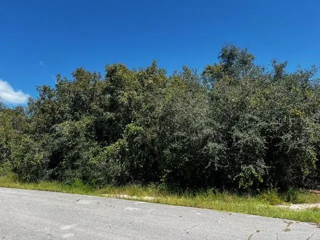 1229 Baltic Drive, Poinciana, FL 34759 - #2