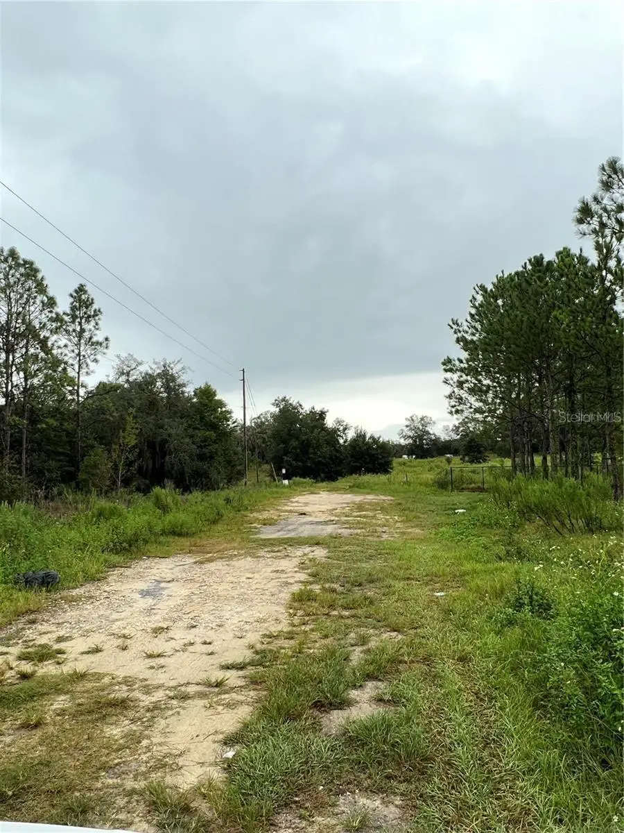 2011 E Bear Paw Lane, Inverness, FL 34453 - Image #2