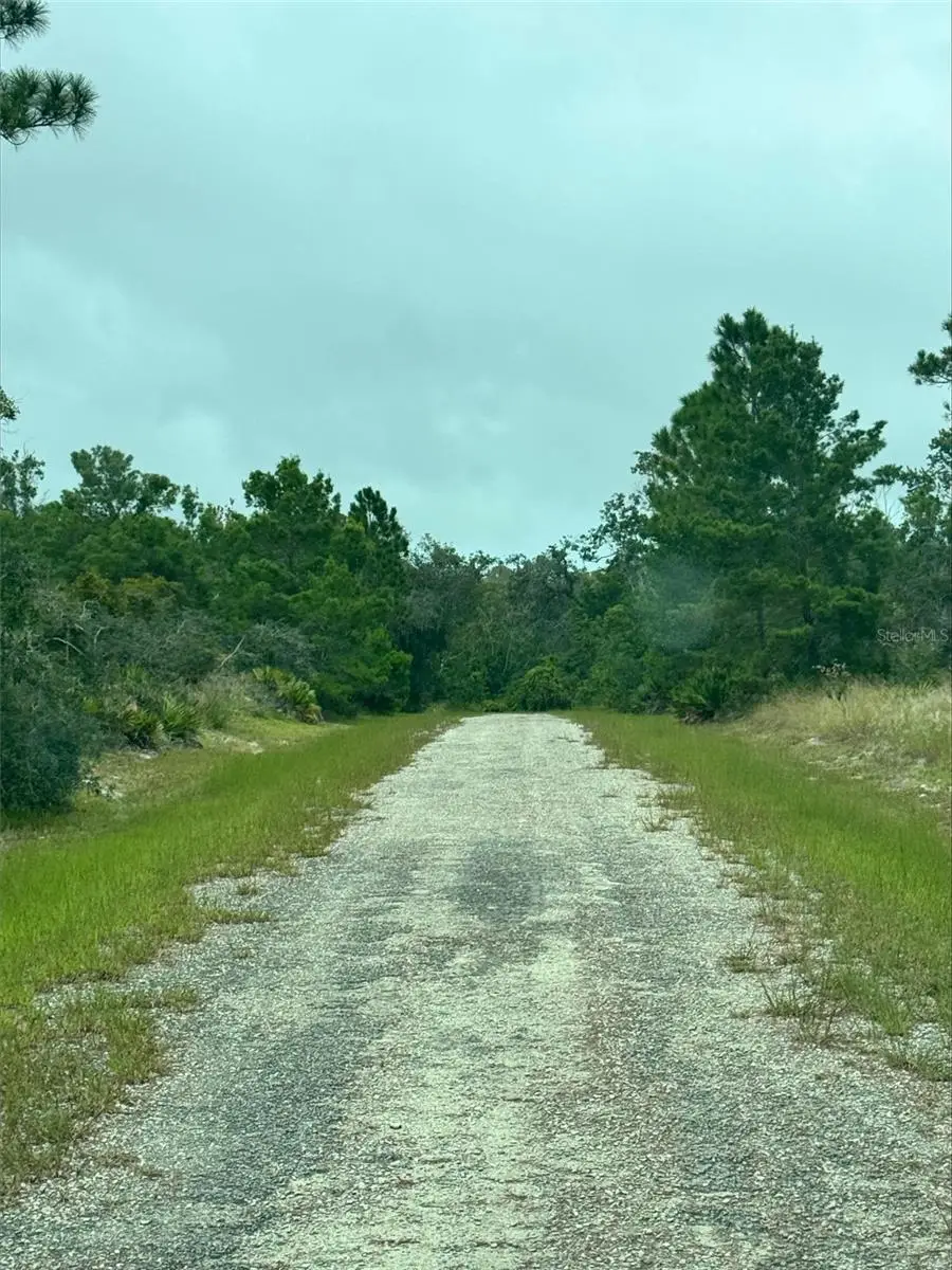 1217 & 1219 Cacao Road, Lake Placid, FL 33852 - Image #1