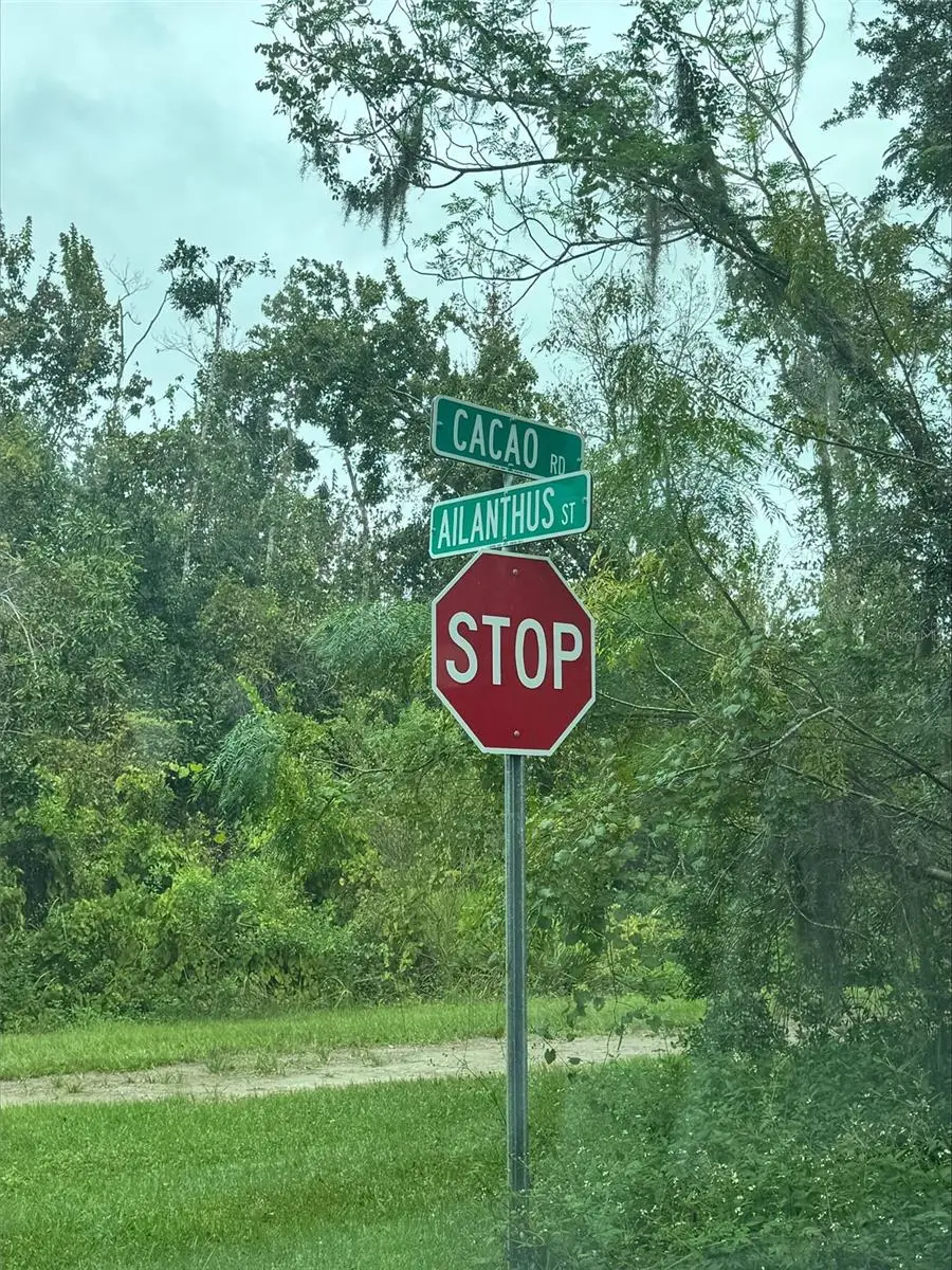 1217 & 1219 Cacao Road, Lake Placid, FL 33852 - Image #2