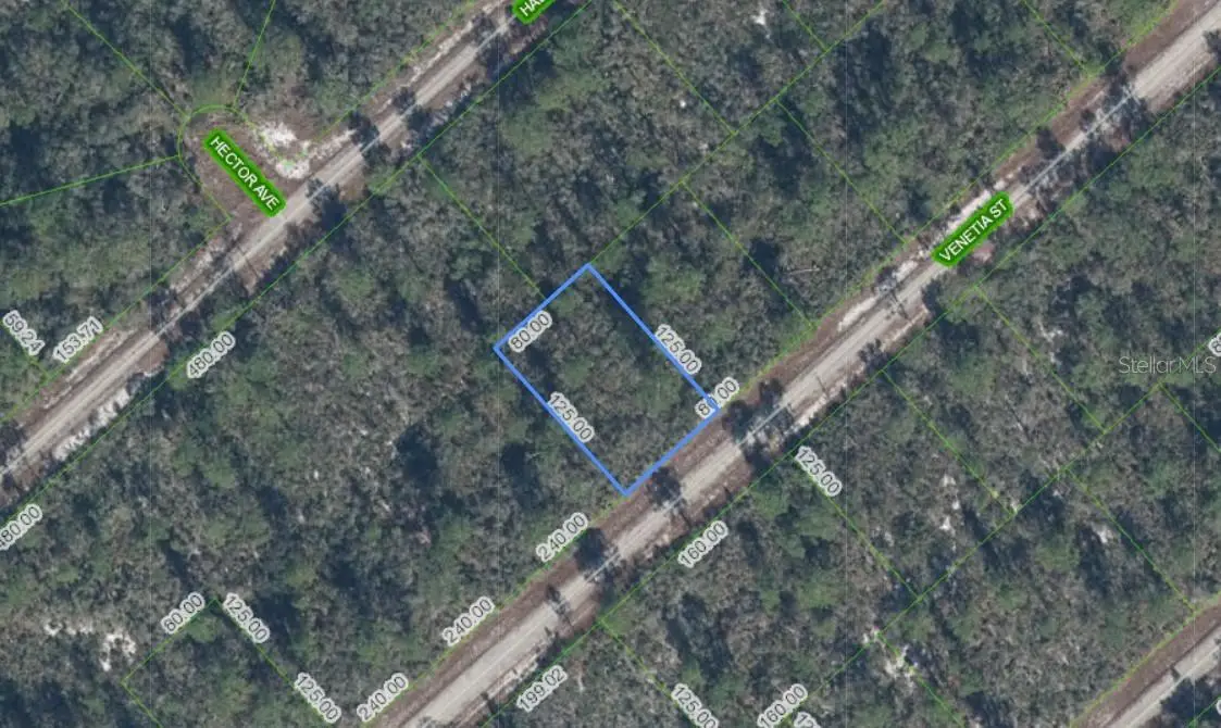 3535 Venetia Street, Lake Placid, FL 33852 - Image #1