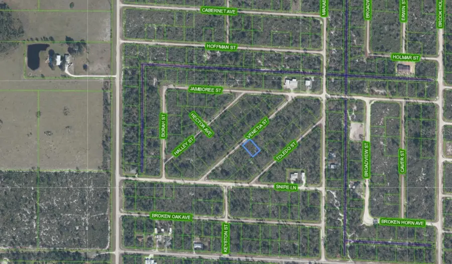 3535 Venetia Street, Lake Placid, FL 33852 - Image #2