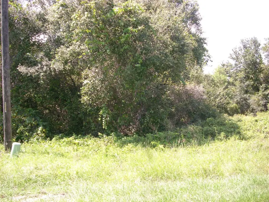 1343 Congo Court, Poinciana, FL 34759 - #2