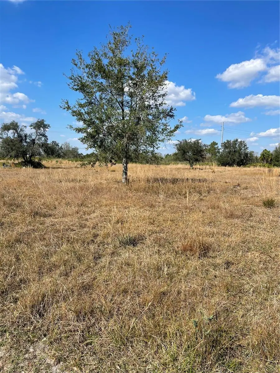 Hammermill Avenue, Lake Wales, FL 33859 - Image #1