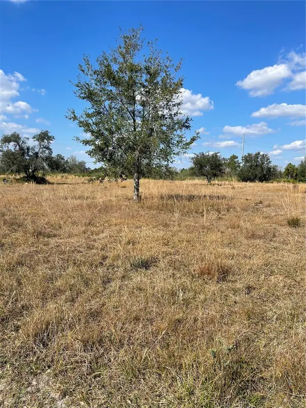 Hammermill Avenue, LAKE WALES, FL 33859