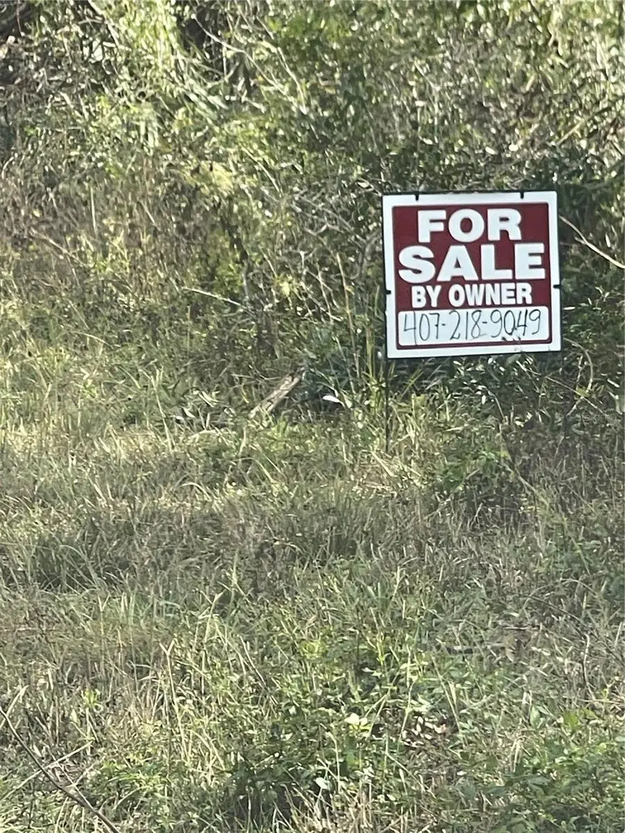 W Us 27, Mayo, FL 32066 - Image #2