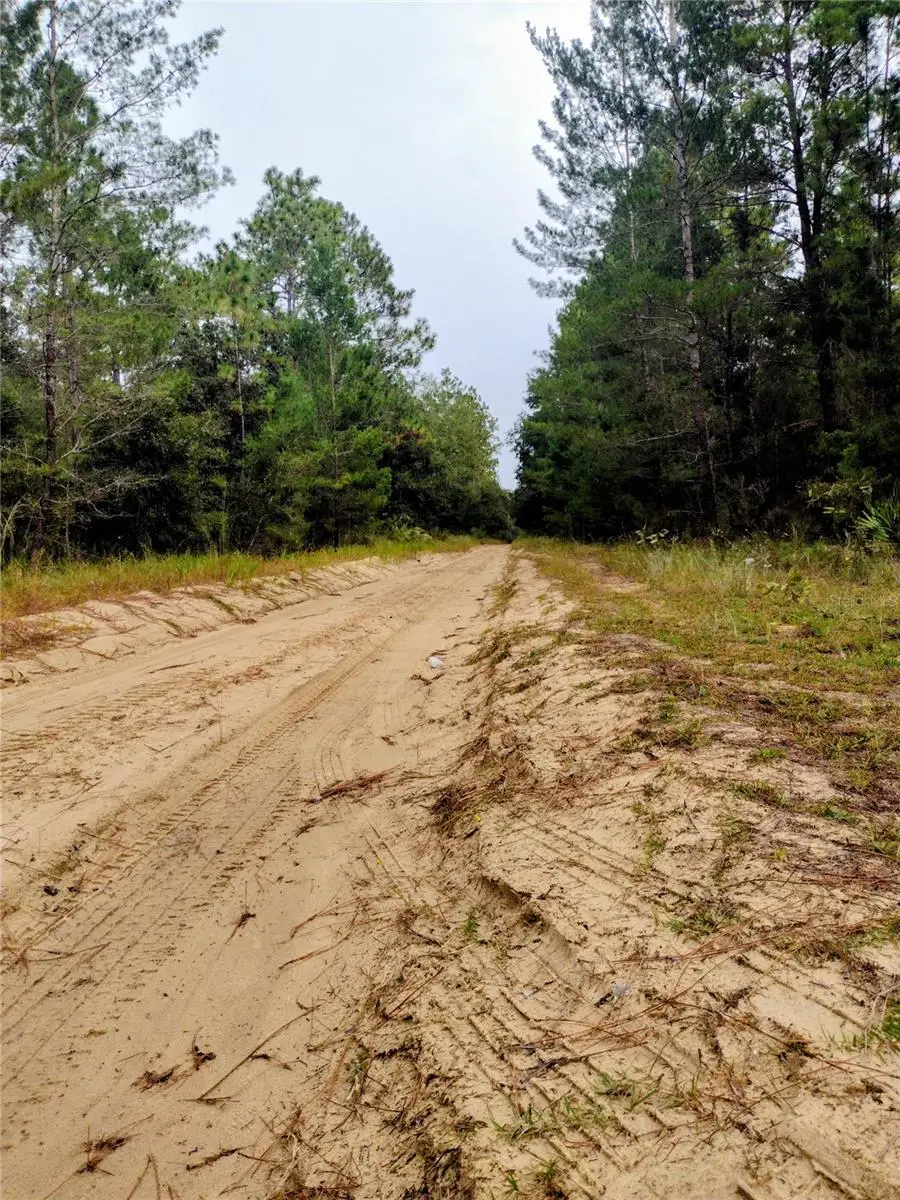 171 7th Way, Interlachen, FL 32148 - Image #1